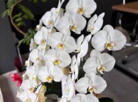 スマートホーム㈱