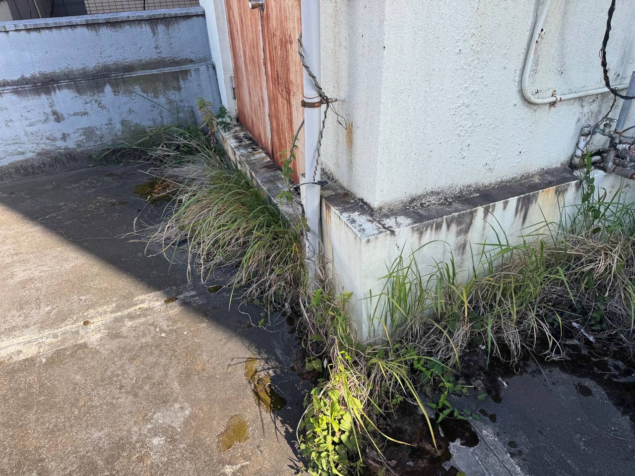 川崎市　防水工事　施工前